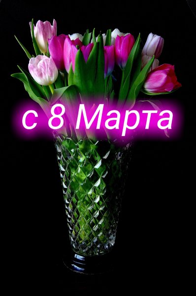 IMG 20210227 150458