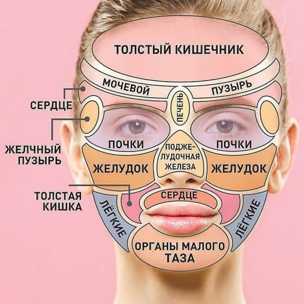 zozh zametki