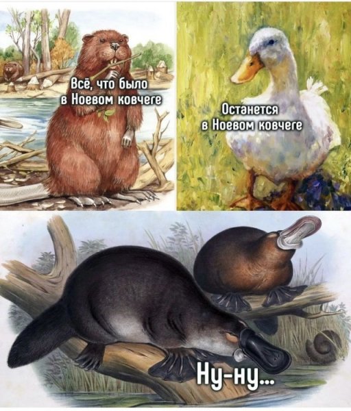 jpg.1c14cbd3629bd16cac70be769842f144