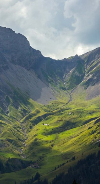 Screenshot 20240516-131410 One UI Home