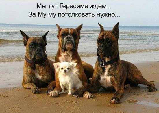 Да! ))