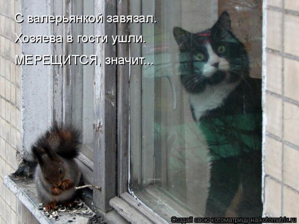 Оппа!!!