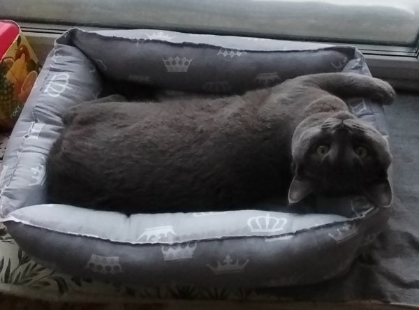 IMG 20250109 100354 edit 36340379373688