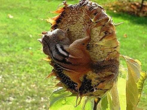 FB IMG 1606665118884