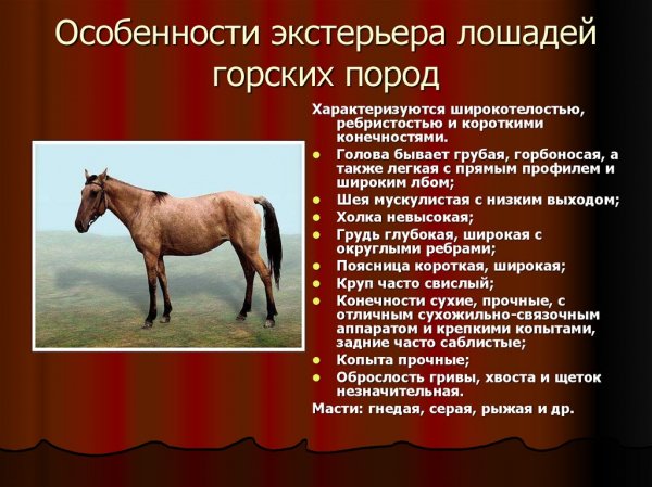 Особенности...