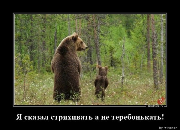 Ya-skazal-stryahivat demotions.ru