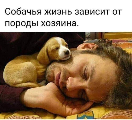 Как то так)