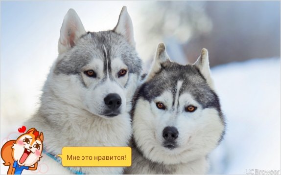 TMPDOODLE1456659049167