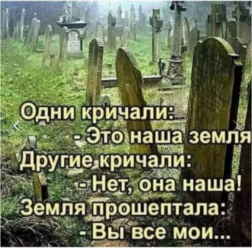 Все вы мои