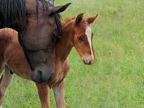 0 STATICc2f89 aa678a7d L