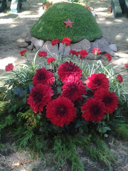 День Победы