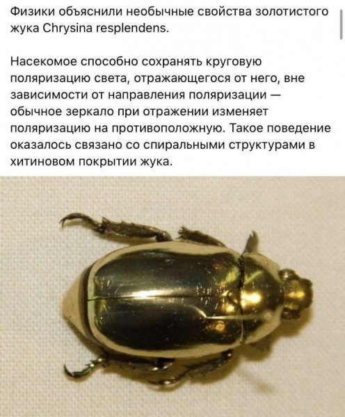 C45f1641c50be34c95e32512d5b3fb1e