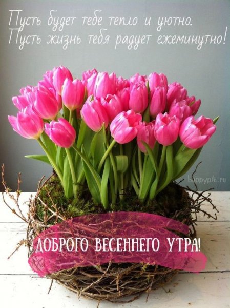 IMG-20190307-WA0010