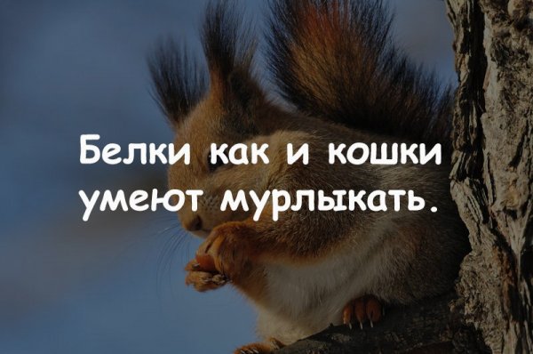 0kcktcbYv9w