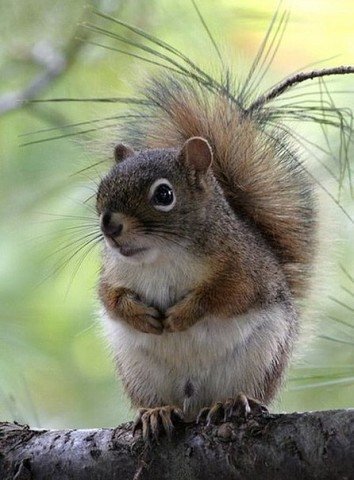 IMG 20150629 163934 41