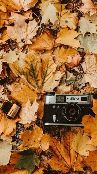 Fotoapparat osen listva 129190 938x1668