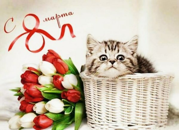 8 марта 010005