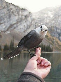picture_99248379