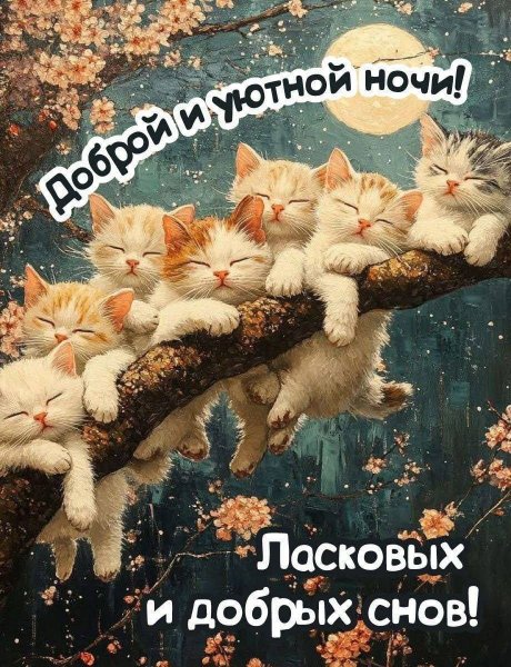 D4b05de4256e4ec2b94fbc832cc7f5a3