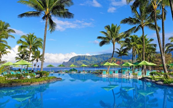 5f8989ec961325.07387618