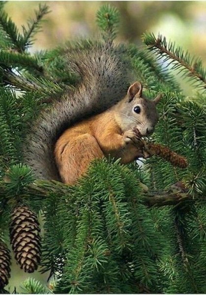 6ab7da19ac0c12137d23238d82af8097