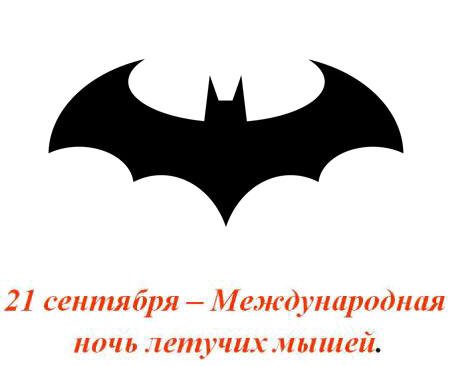 Ночь летучих мышей