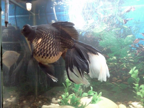 IMG20110604 015