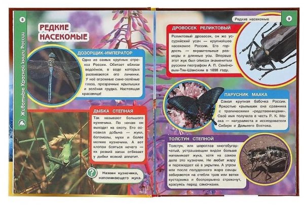 Редкие насекомые