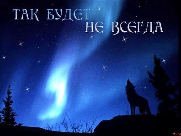 getImage (95)