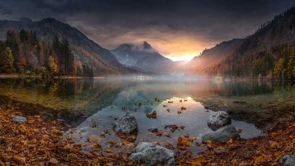 vk.com oboihd (59123)