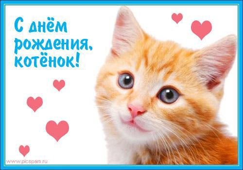 с днём рождения