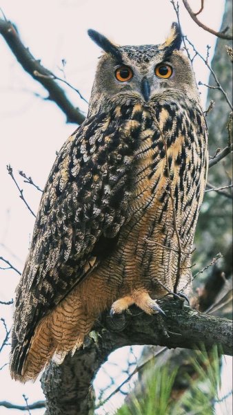 6ecbdafb-c383-4143-8480-799ab37fbf67