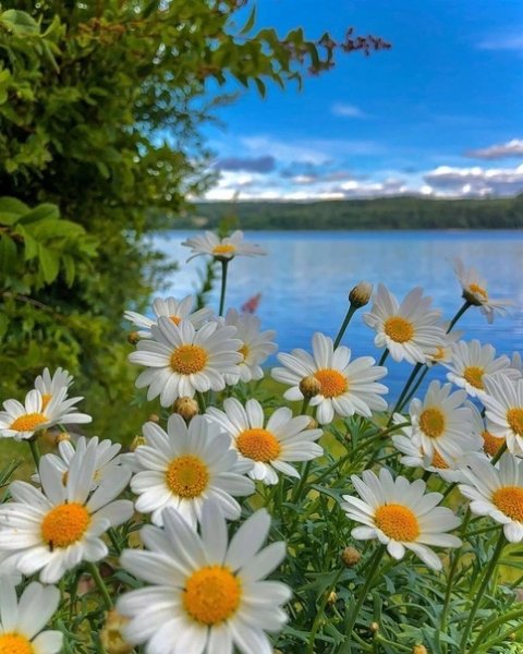 Приметы о погоде: