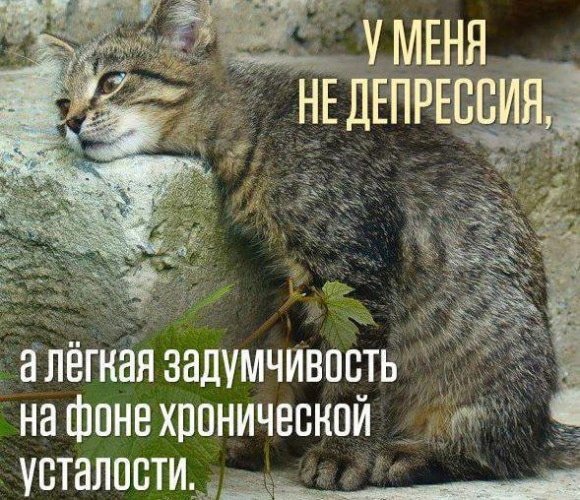 А лёгкая задумчивость...