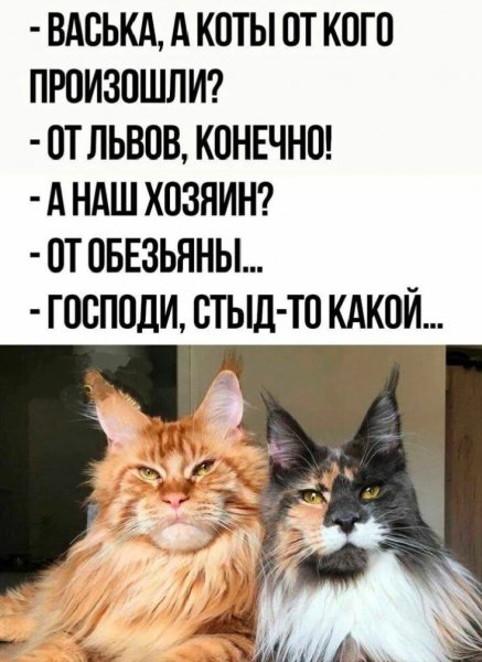 Стыд - то какой...