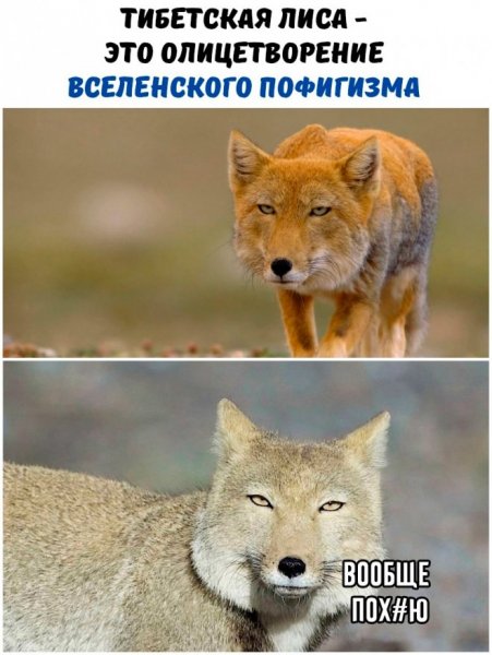 e12ab6d hotite-nachat-den-s-otlichnogo-nastroenija-11