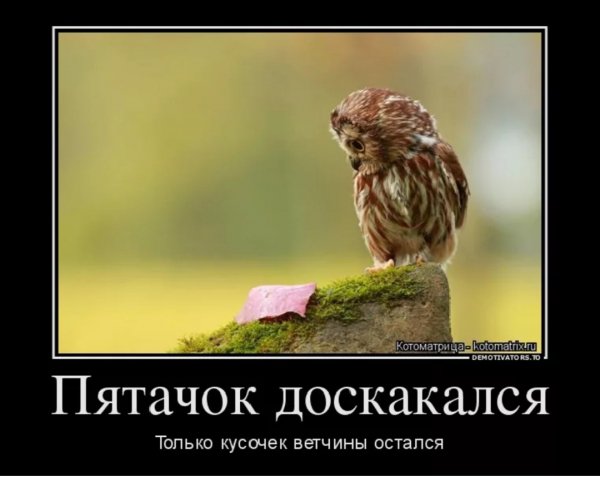 ))))))