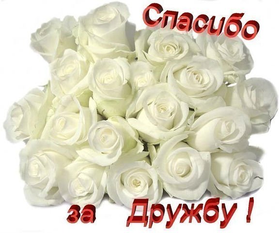 Спасибо за дружбу