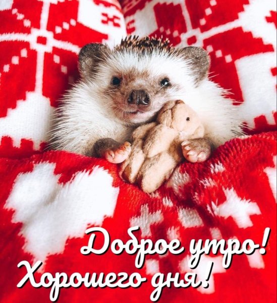 a8b977db4cd38f1c33e8fd69dcc