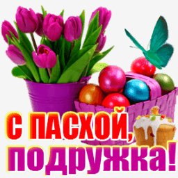getImage(677)