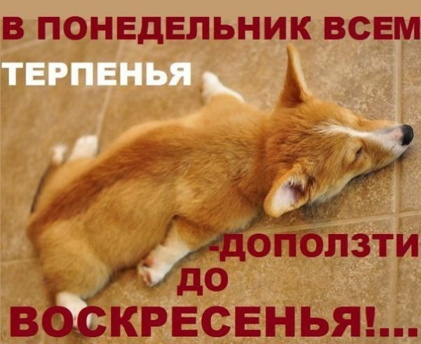 Да! ))