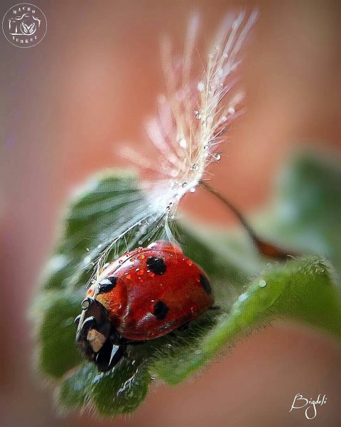 00-55-45-13298068 1005498182837799 96663284 n