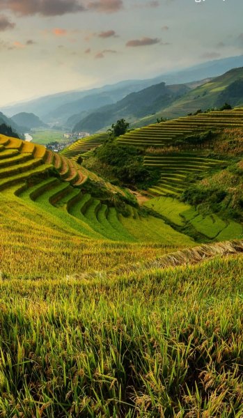 Screenshot 20251117-105352 One UI Home