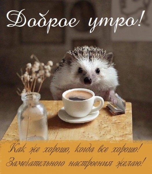 E4201287b9fc3173a5df156cd850632a