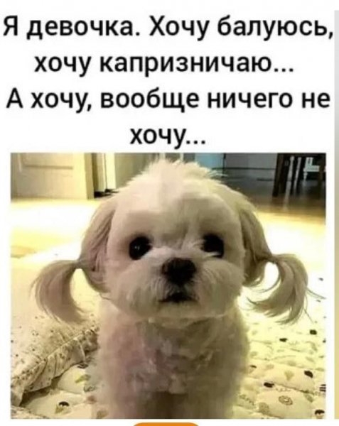 4b5737318395c2162b06fd4faa8a225f