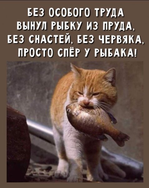 Без особого труда...