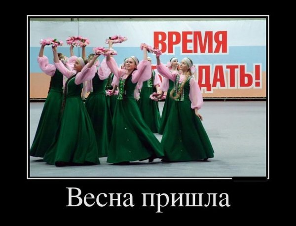 0 81a1d6 b5bca009 orig