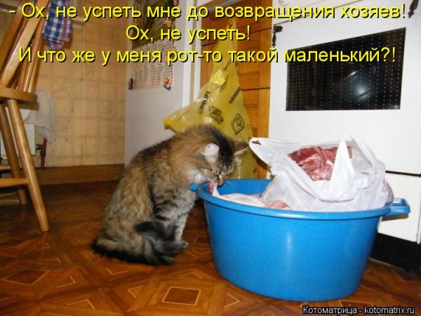 picture_414222846