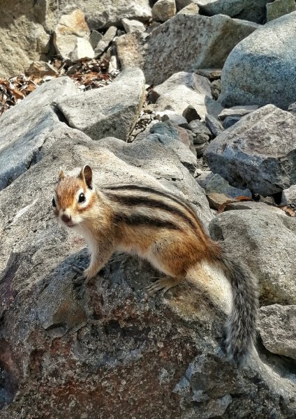 IMG 20190707 150250-01