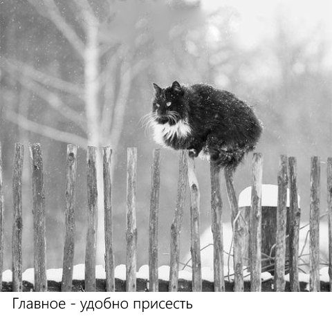 Главное - удобно присесть